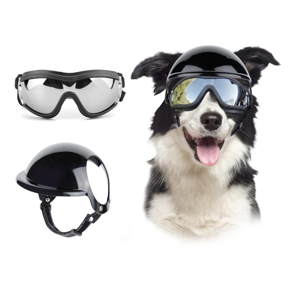 The Ultimate Guide to the Dog Motorcycle Helmet